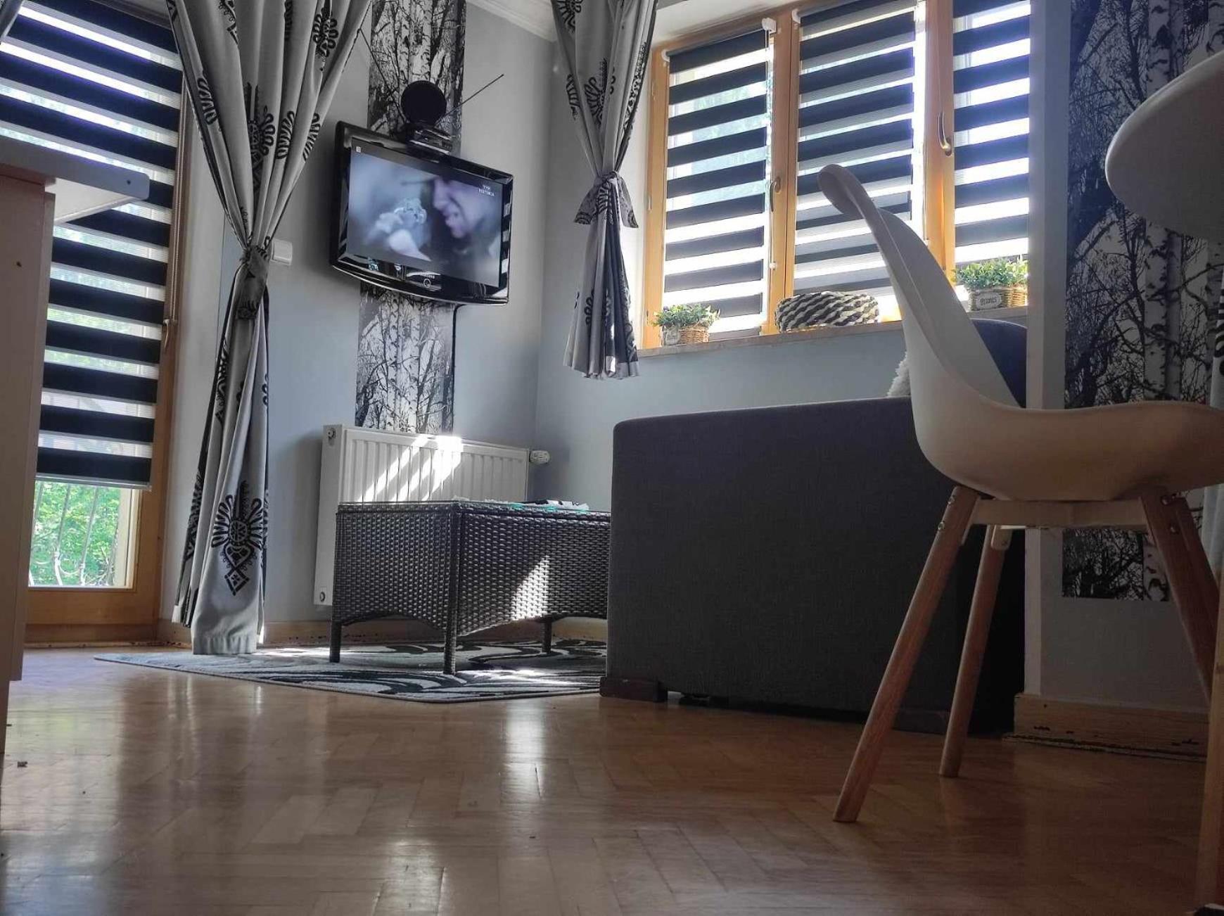 Willa Czajka - Widokowe Apartamenty Zakopane Extérieur photo