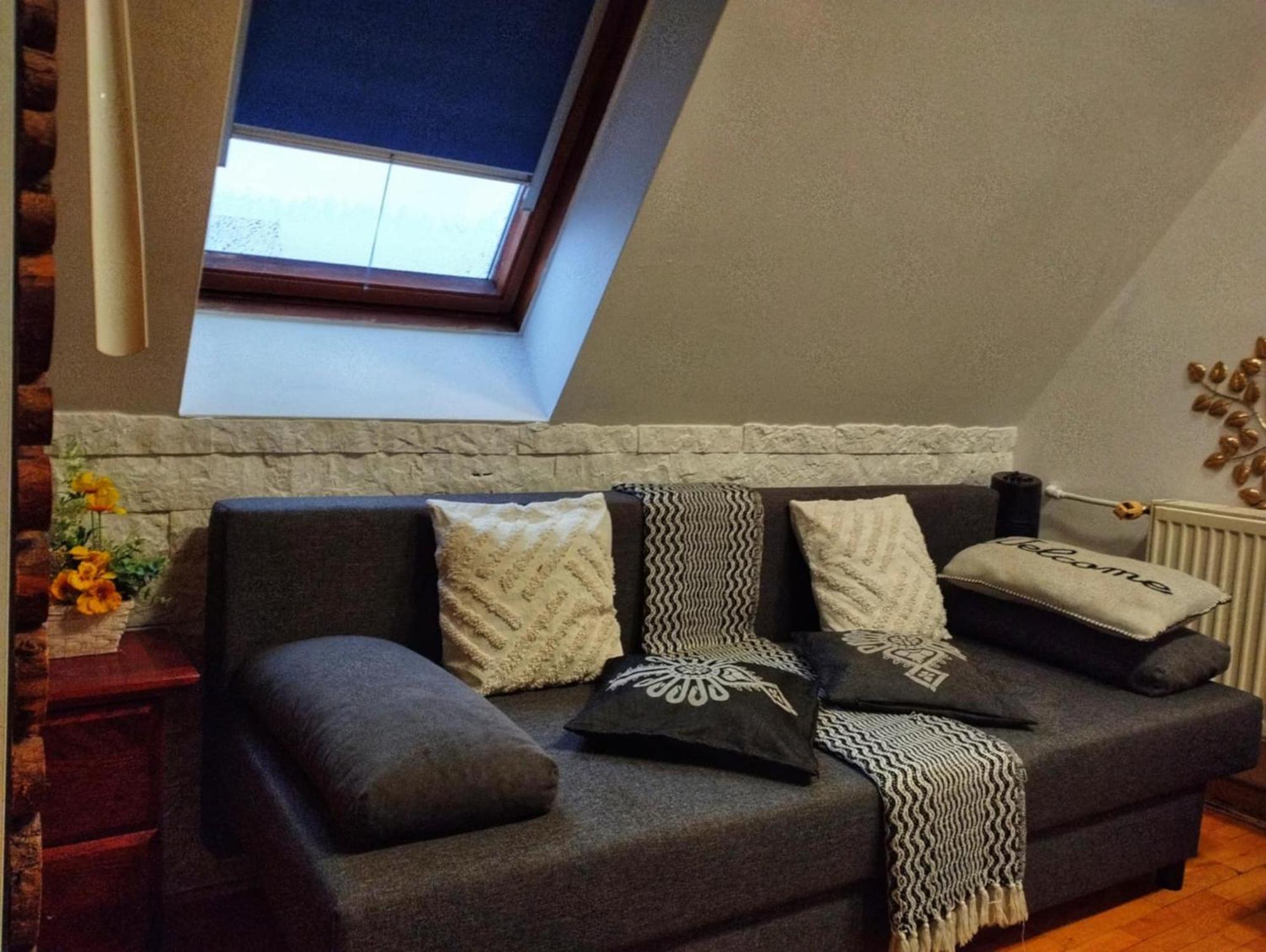 Willa Czajka - Widokowe Apartamenty Zakopane Extérieur photo